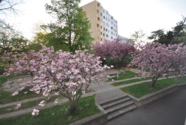 Magnifique Appartement traversant étage élevé, aux Avanchets