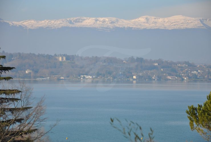 Propriété de luxe à COLOGNY( Off Market)