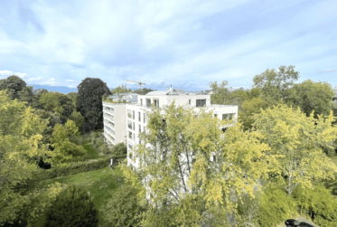 Appartement 6 pièces rénové à Malagnou