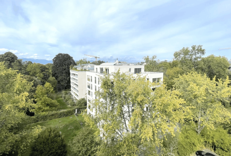 Appartement 6 pièces rénové à Malagnou