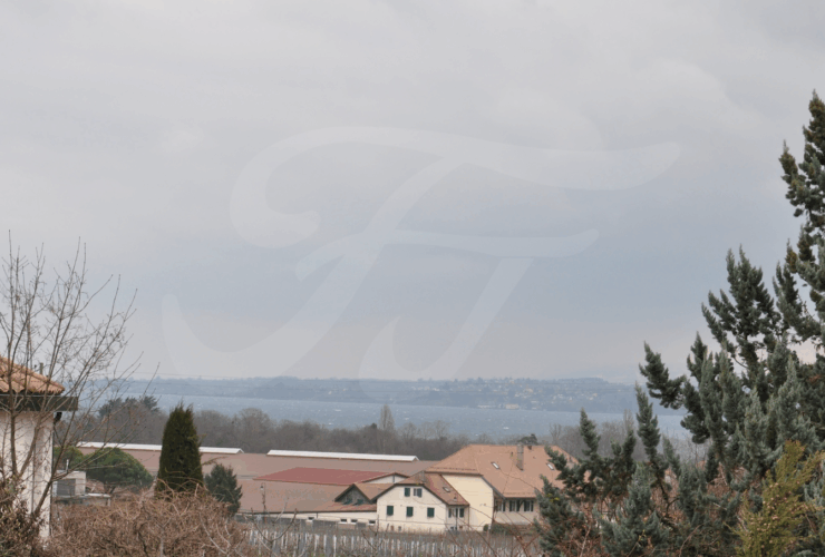 Charmante maison jumelée par le garage, à Founex