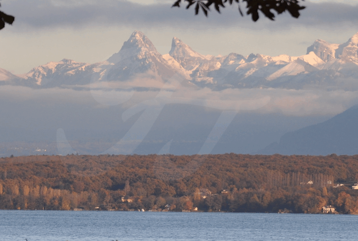 Propriété de maître, à COLOGNY( Off Market)
