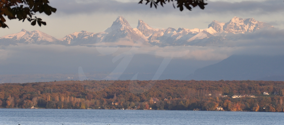 Propriété de maître, à COLOGNY( Off Market)