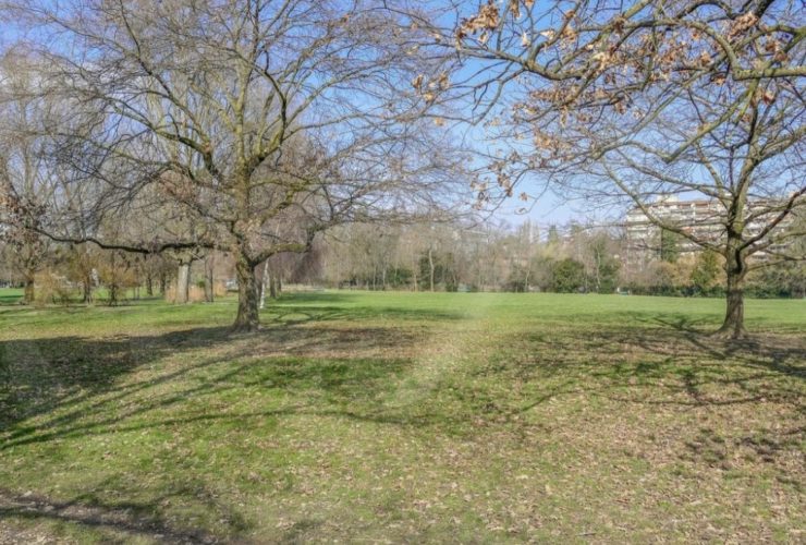 EXCEPTIONNEL Appartement lumineux, face au parc Bertrand – CHAMPEL, GENÈVE